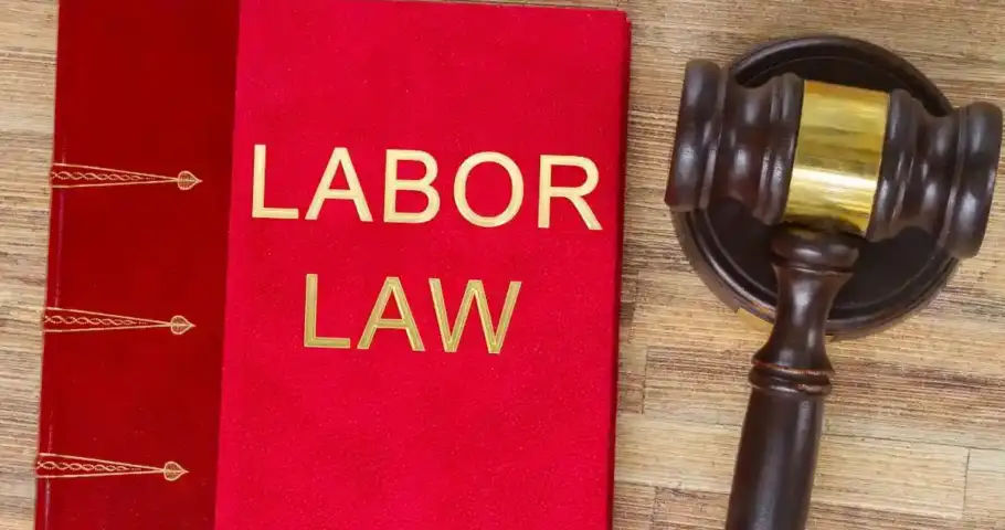 Employers and employees under labor law